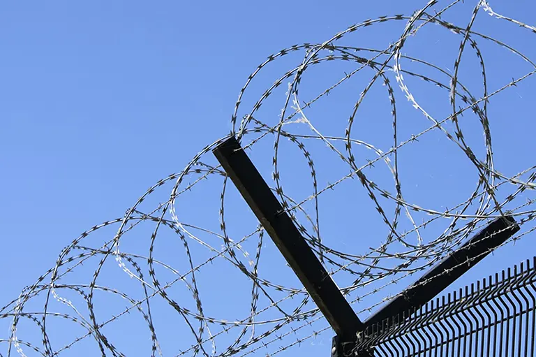Єгоза для огорожі та посилення периметра